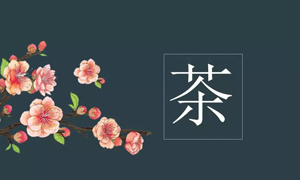 Z6尊龙之家宜昌店业务部开展关于茶艺知识培训