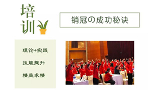 思维营销，终端为王——安徽分公司合肥滨湖店销售精英培训 